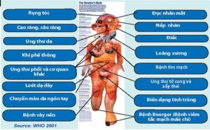 Nguy Cơ Bệnh Tật Khi Hút Thuốc Lá